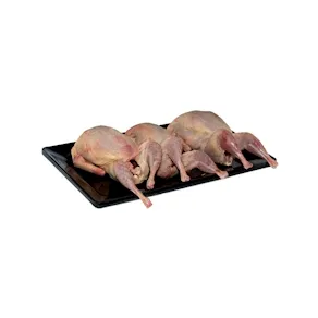 Codornices